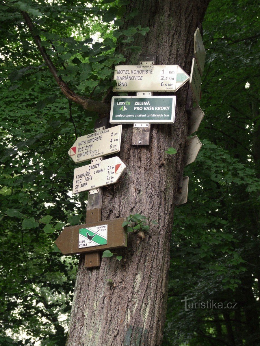 Crossroads Konopiště - castle