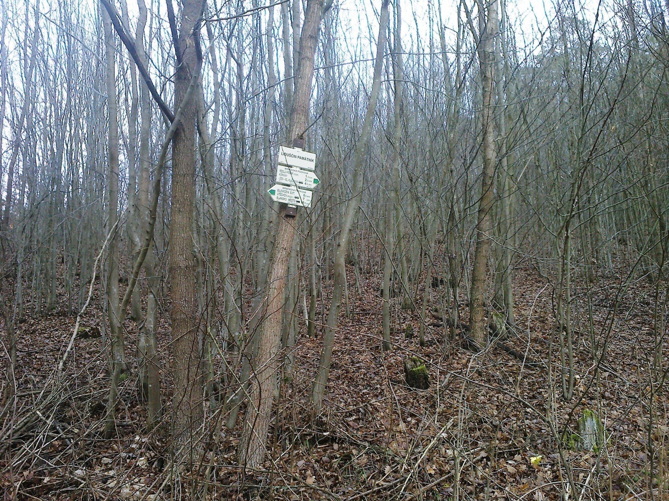 A Liduščina emlékmű keresztezi az utat