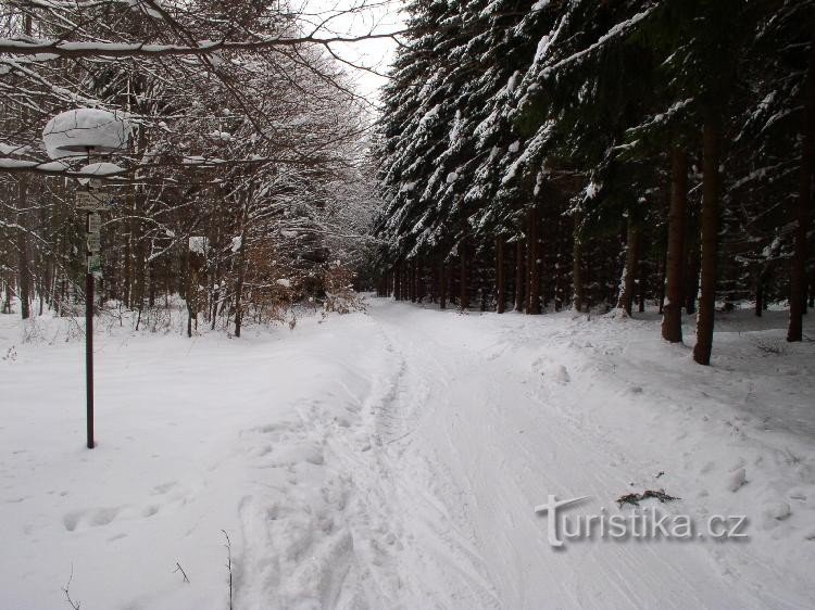 Križanje Mláka: Nepregledno skretanje desno