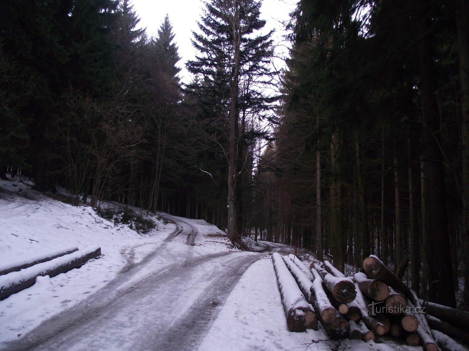 Kreuzung von blau und grün