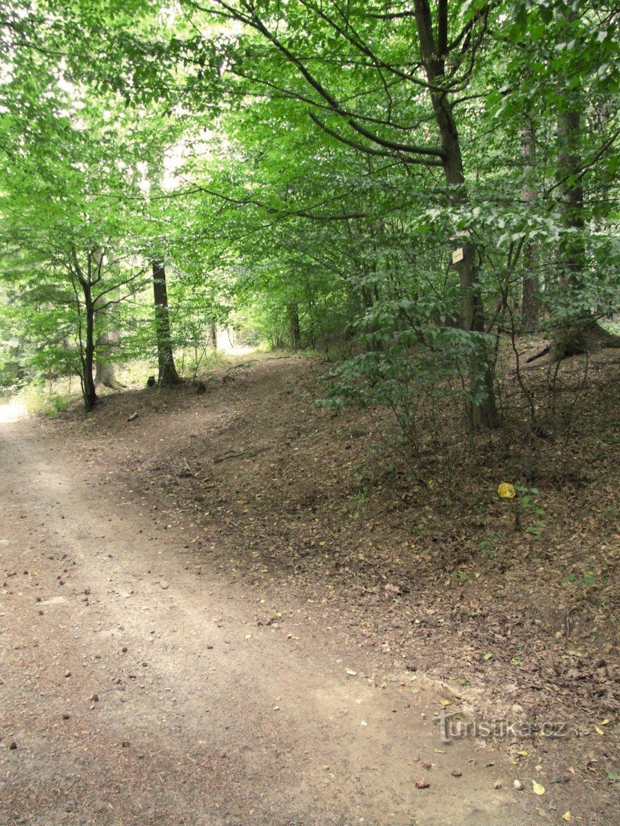 Myslivna Krdliště crossroads