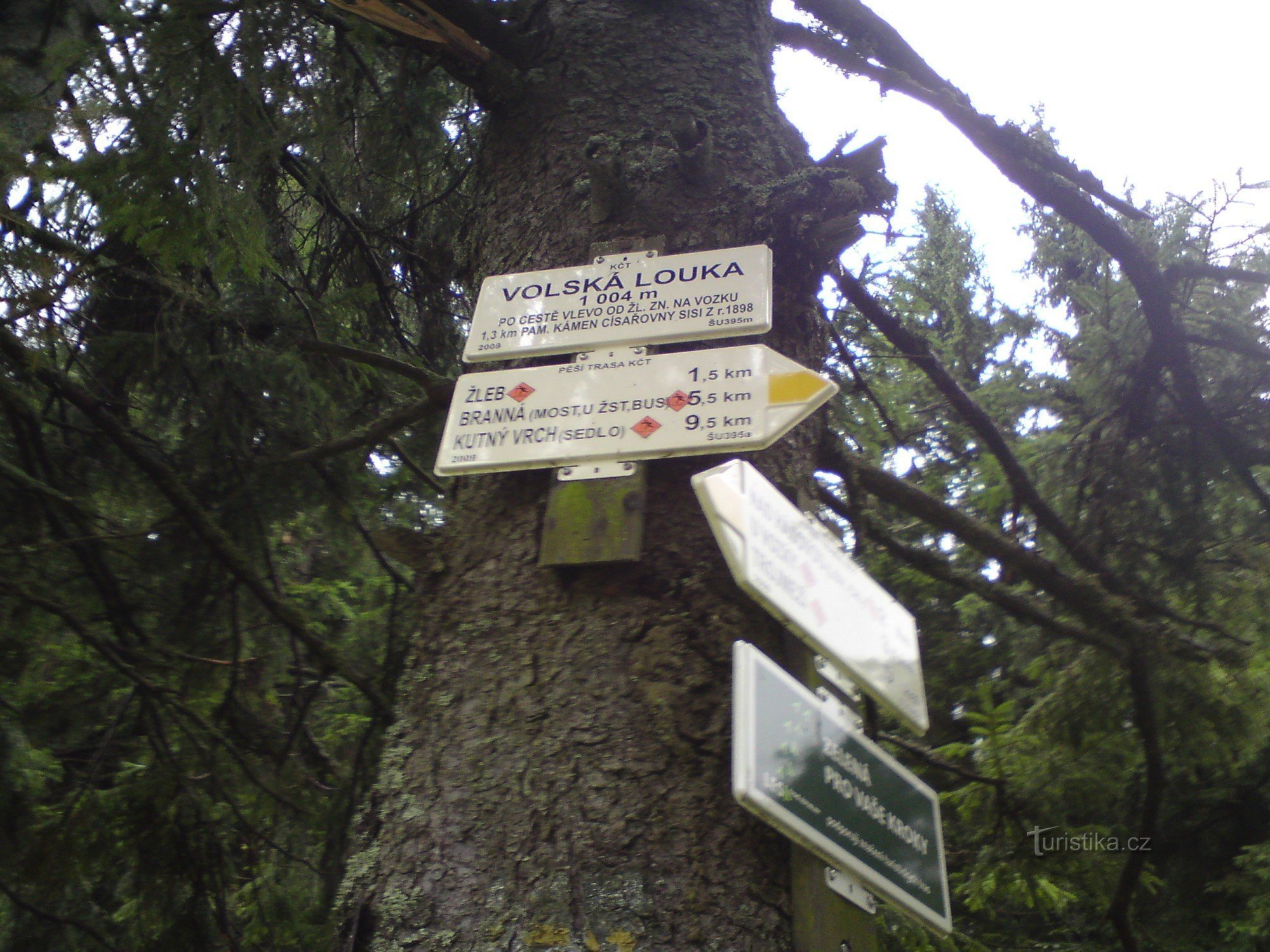 fourche dans le pré de boeuf