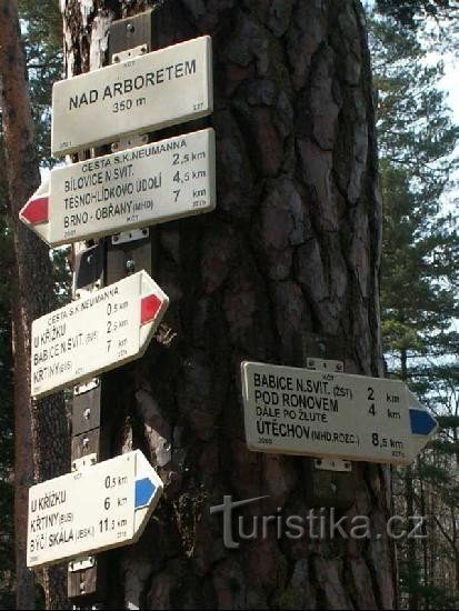 Cruce de caminos sobre el Arboretum