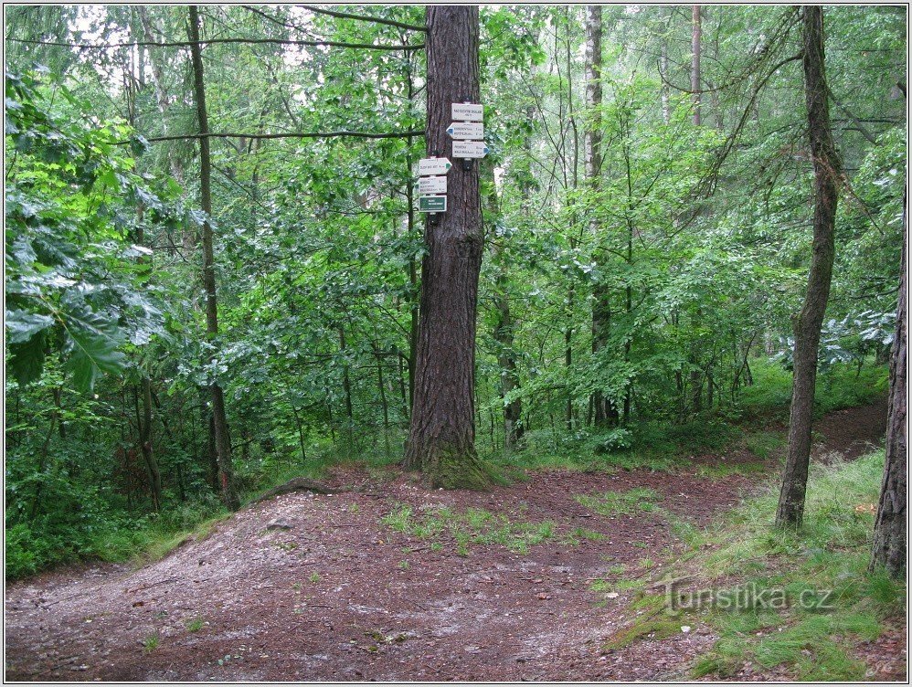 Kreuzung über trockenen Felsen