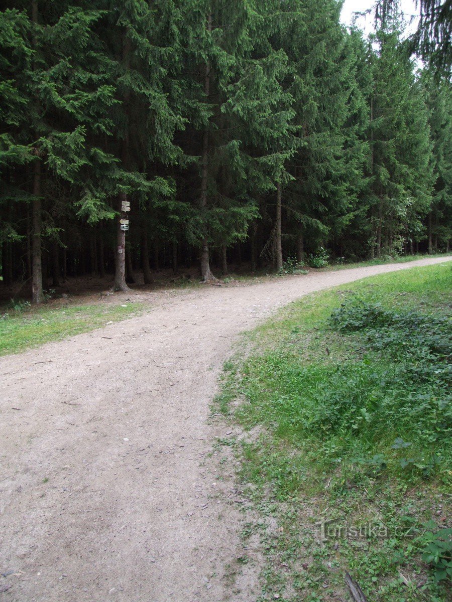 Crossroads of the Hospital in the Grove