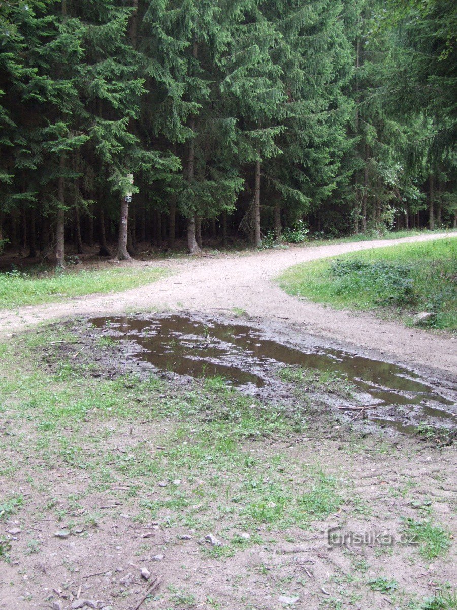 Kruispunt van het ziekenhuis in de Grove