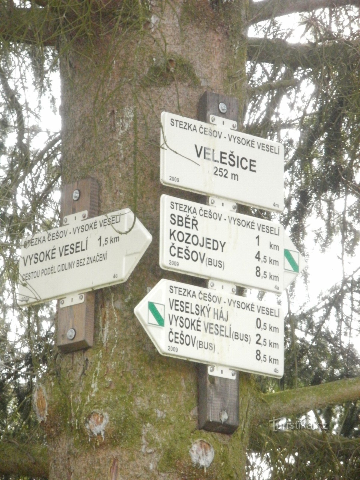 intersection NS Češov-Vysoké Veselí - Velešice
