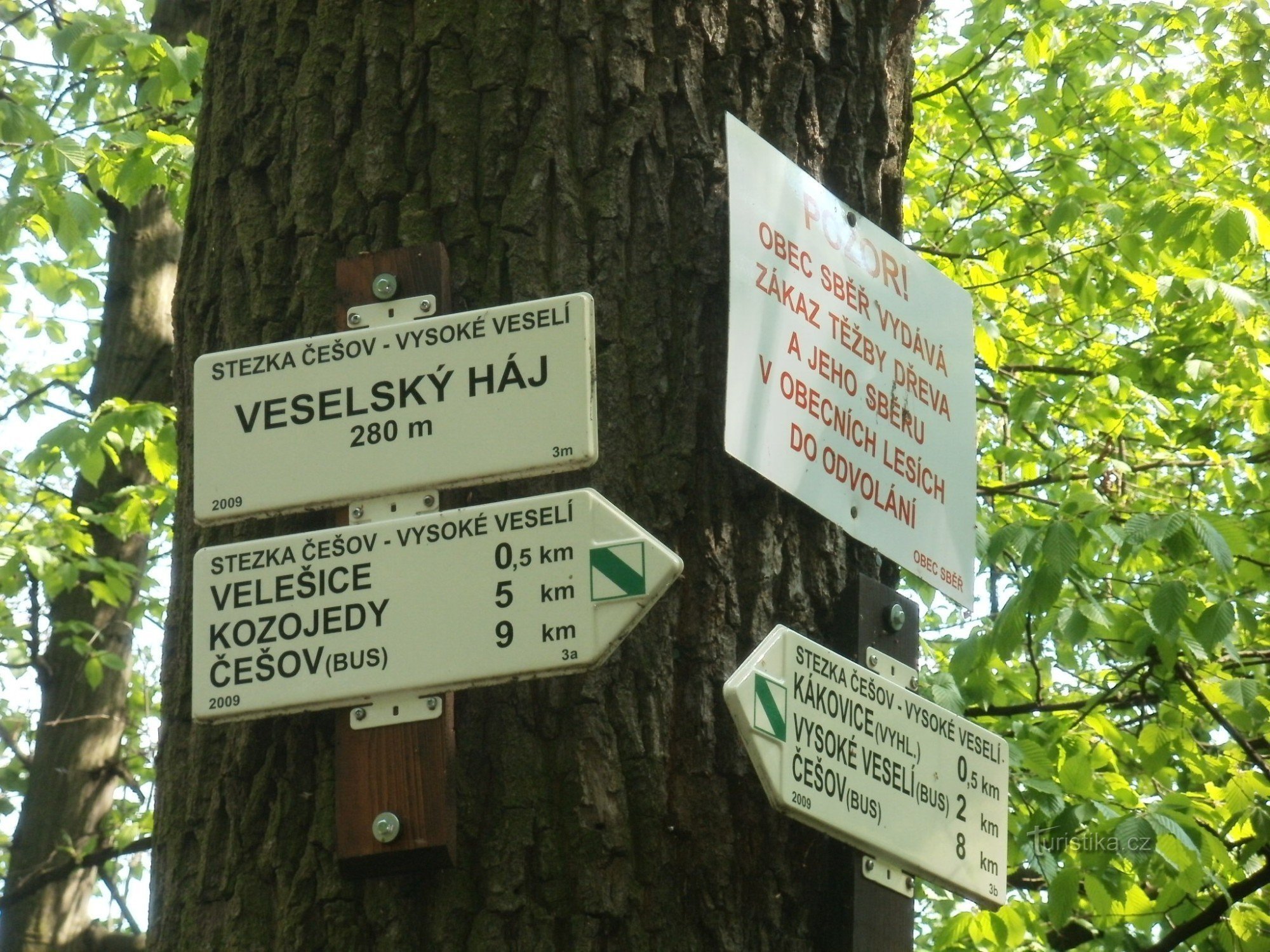 intersección de NS Češov-Vysoké Veselí - Veselský háj