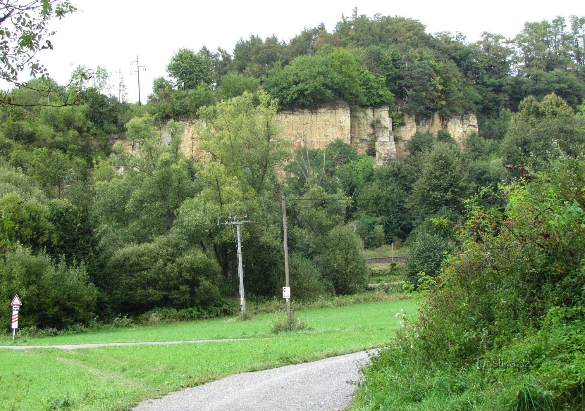 Cruce de caminos de ajenjo