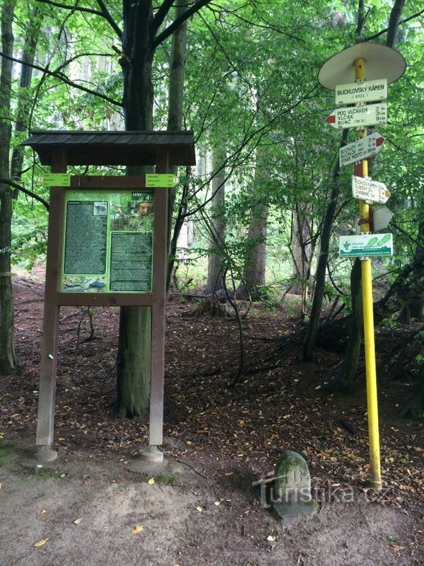 vejkryds under Buchlov-stenen