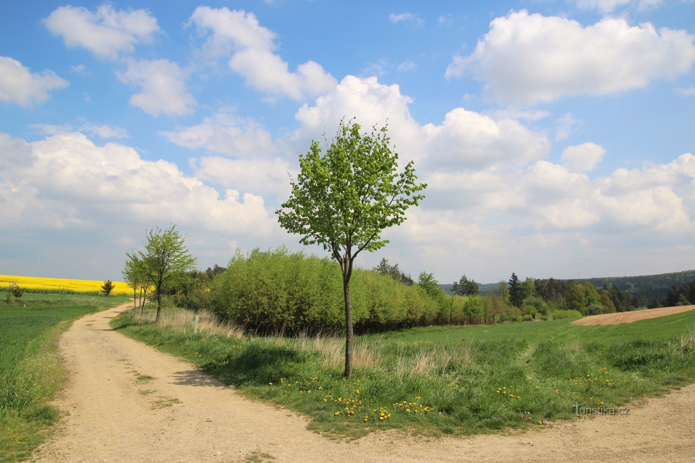 Cruce de caminos bajo Katov