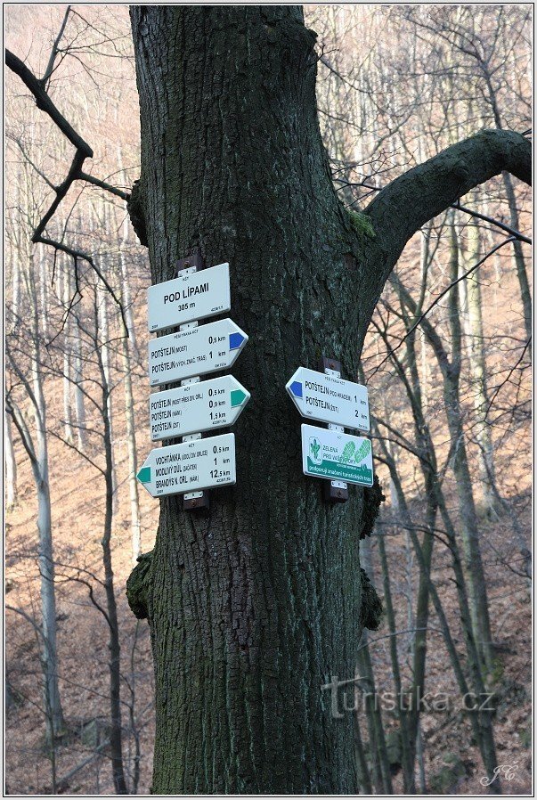 Kreuzung Unter den Linden