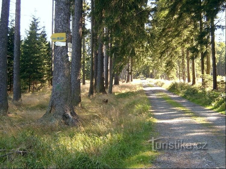 Pod Skalami-Kreuzung: Blick auf den Pod Skalami-Wegweiser und gelb und blau markiert