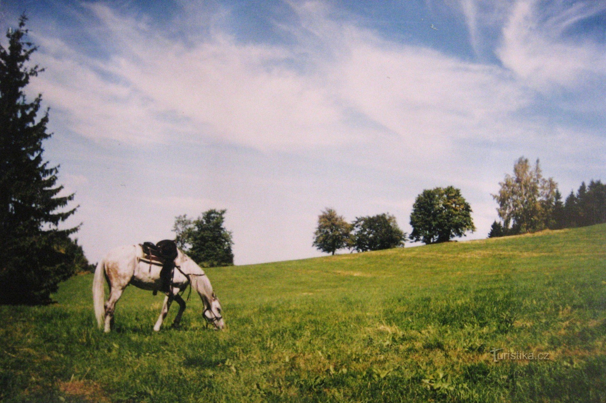 Korsvej under Skalný