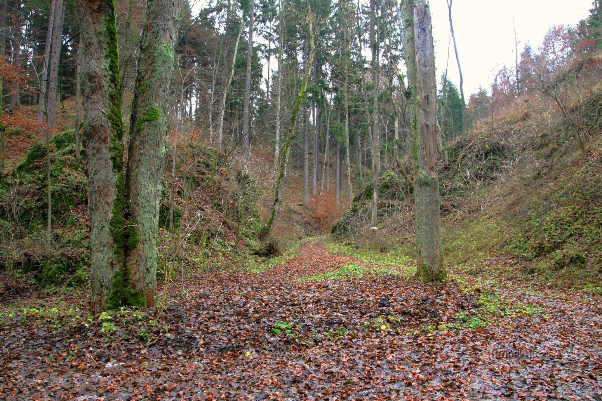 Korsvej under Urbanicí