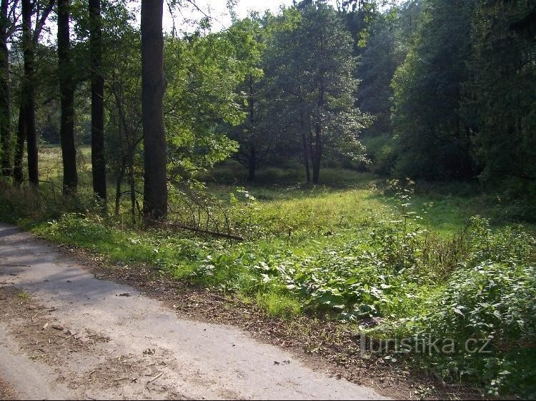 Encruzilhada: Vista da estrada, azul virando à direita