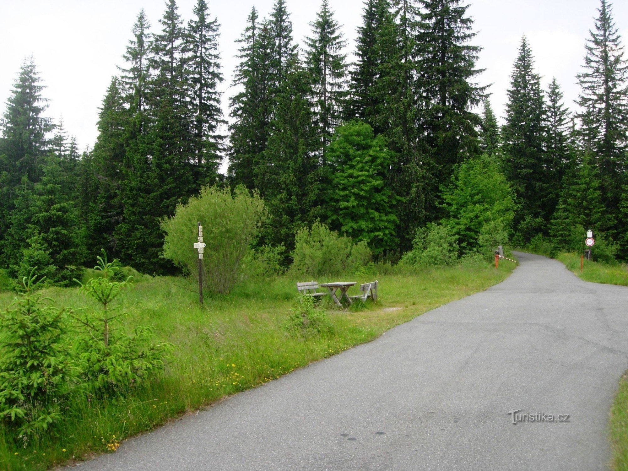 Tmavý potok forks