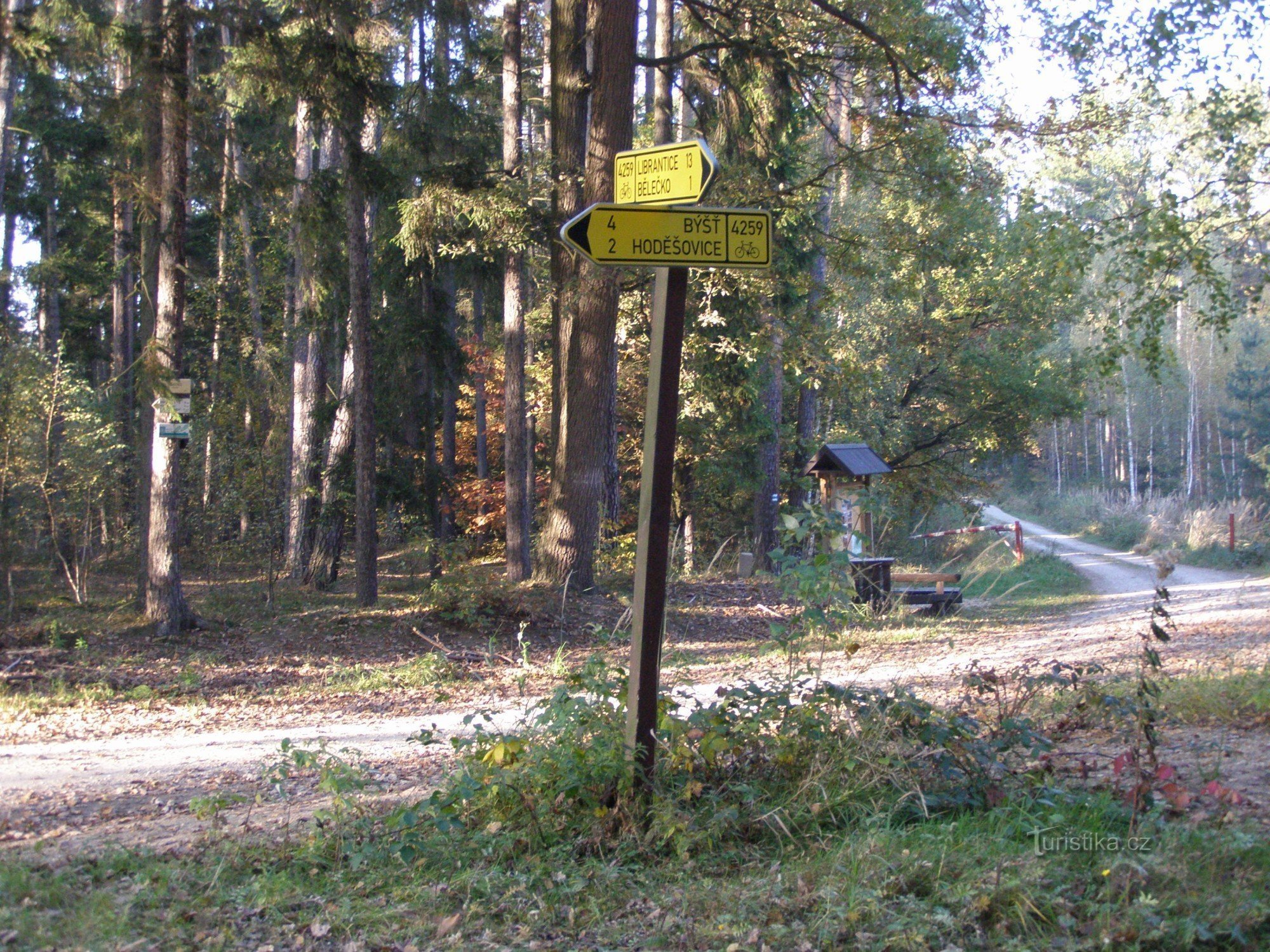 Encruzilhada em Bažantnice - Hradecké lesy