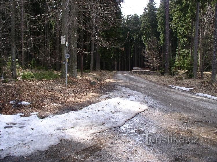 Роздоріжжя На чорному пні