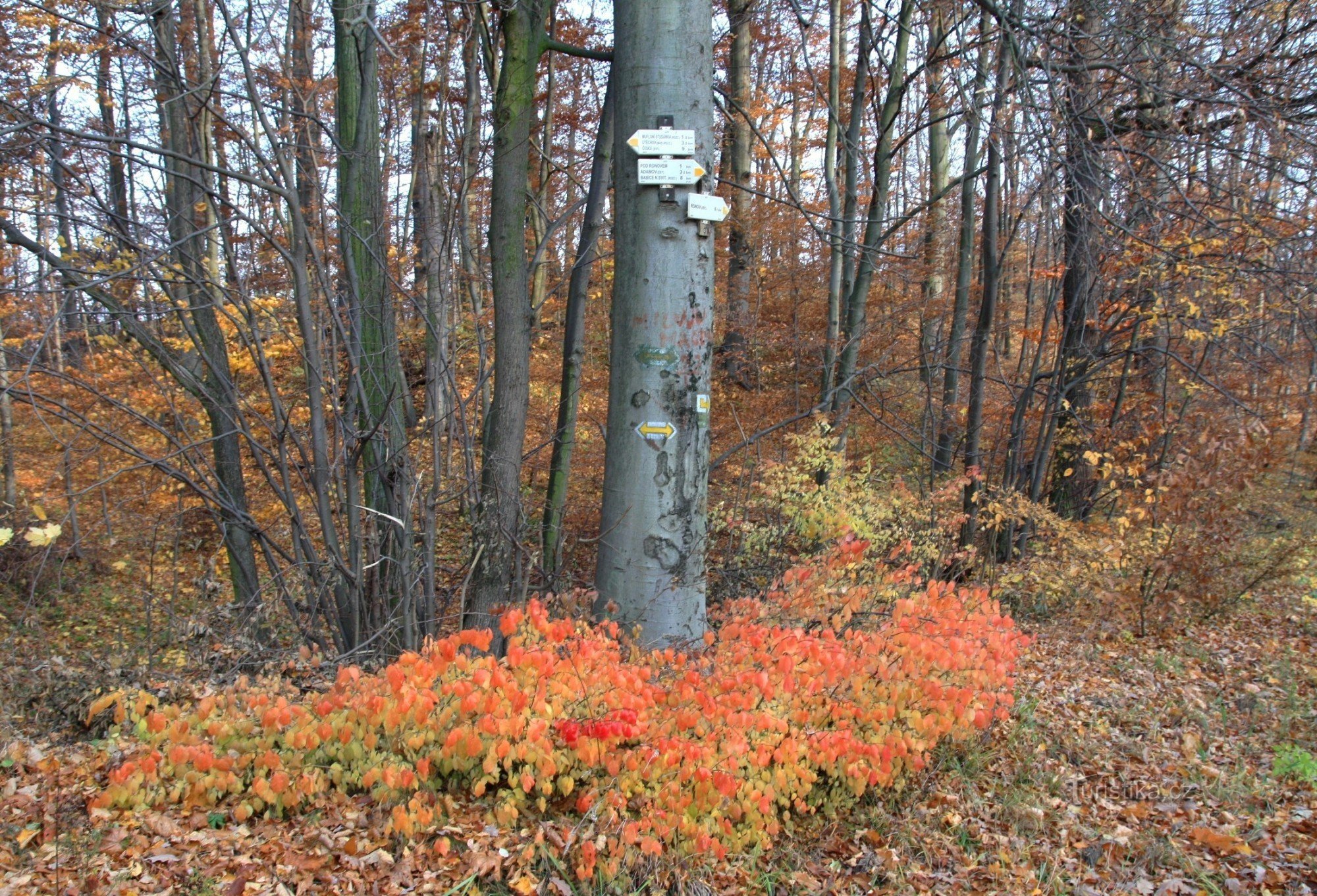 Korsvej ved Ronova Slot