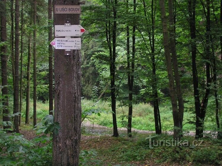 Encrucijada en la perrera del zorro