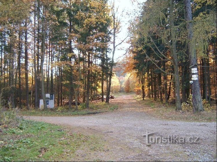 Rozcestí U Lizu: pohled na rozcestí od severu