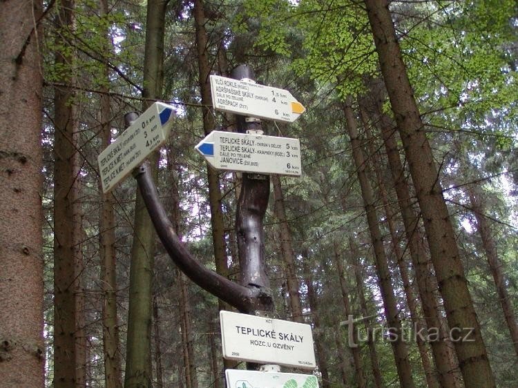 Cruce de caminos en el eco