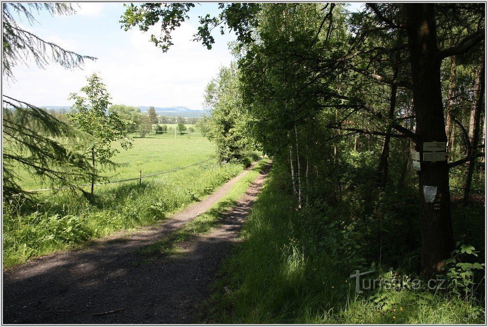 Cruce de caminos U Polště