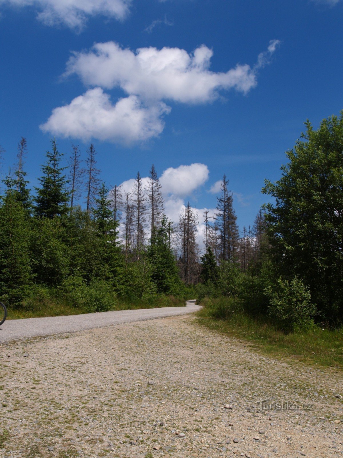 Crossroads At the source of the Vltava River