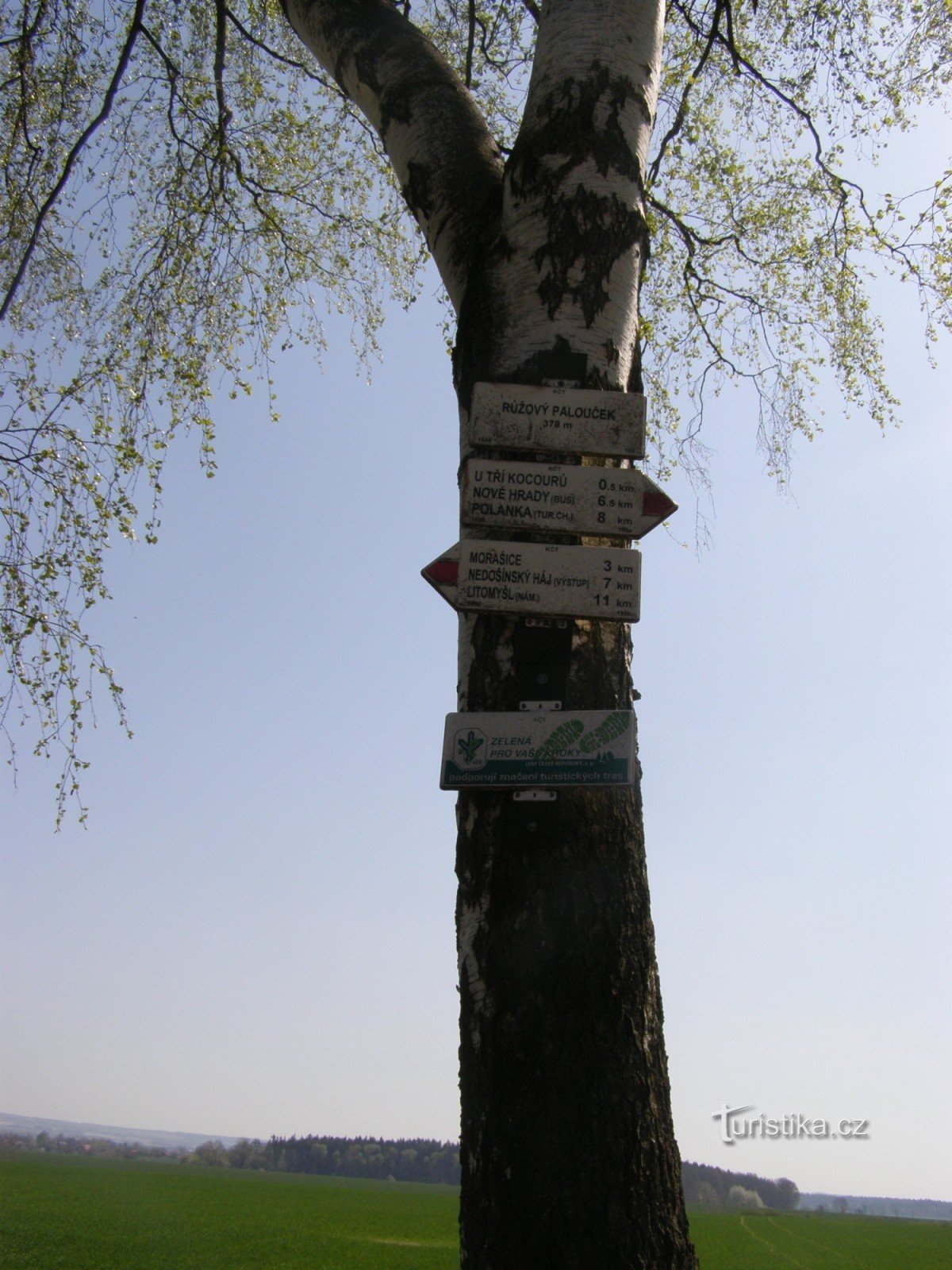 cruce de caminos en Růžové palouček