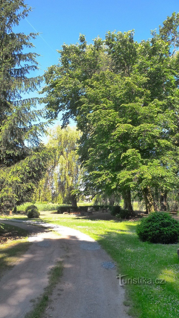 crossroads by the pond