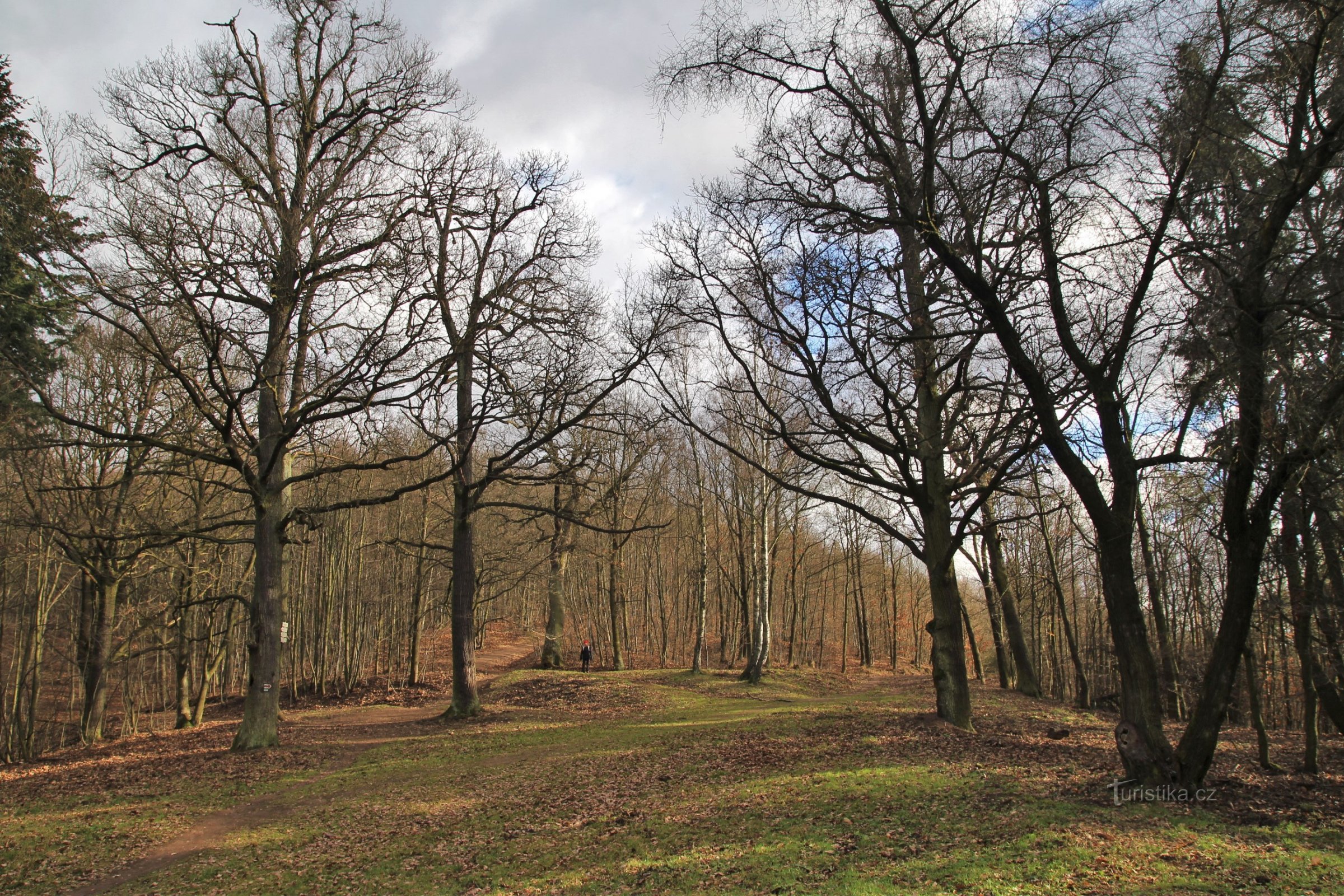 Crossroads At the Seven Oaks