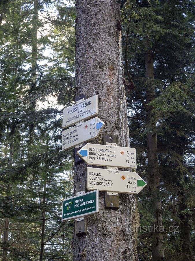 Cruce de caminos en el bosque Drážník