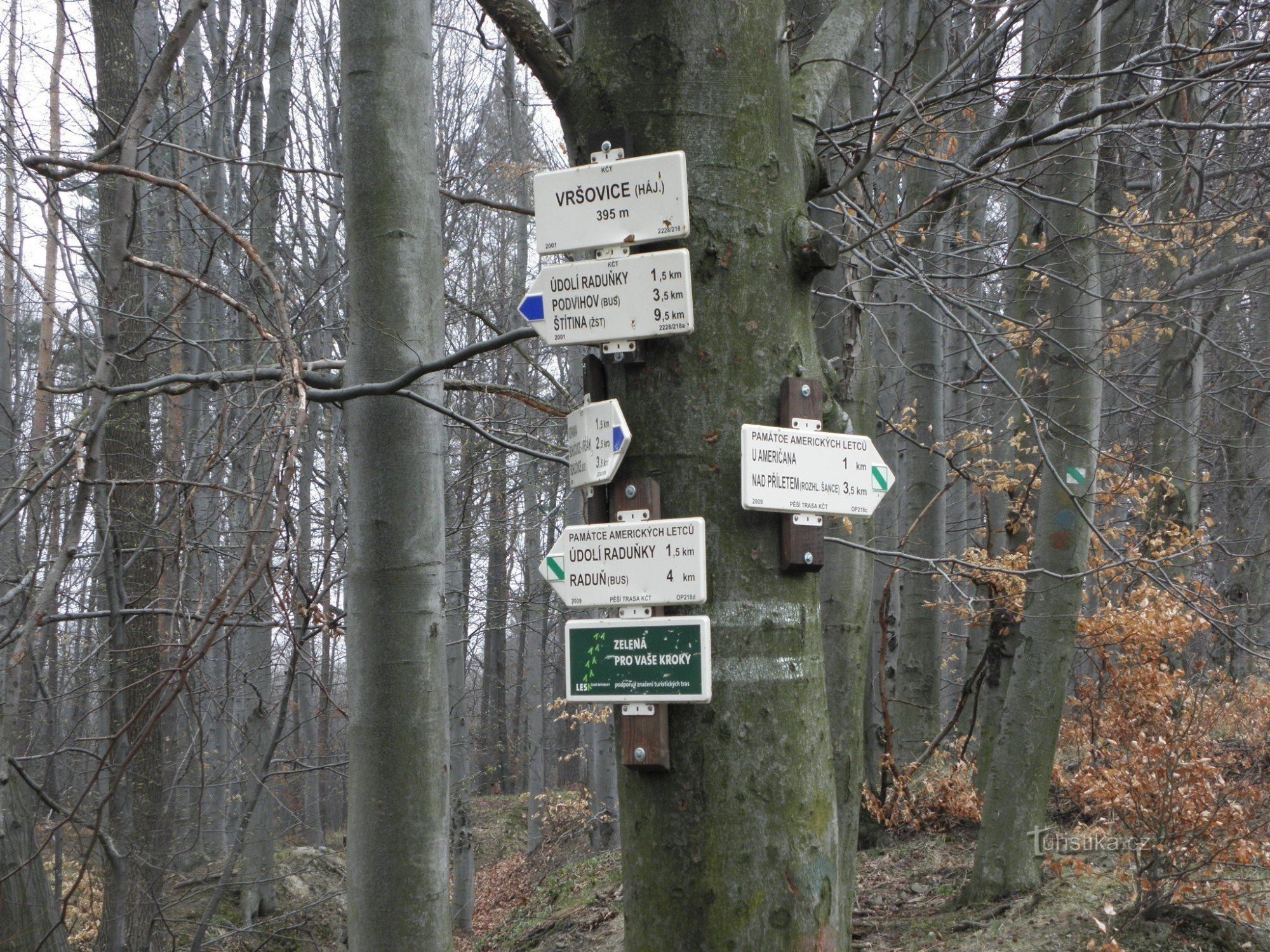 Het kruispunt van Vršovice is een bos