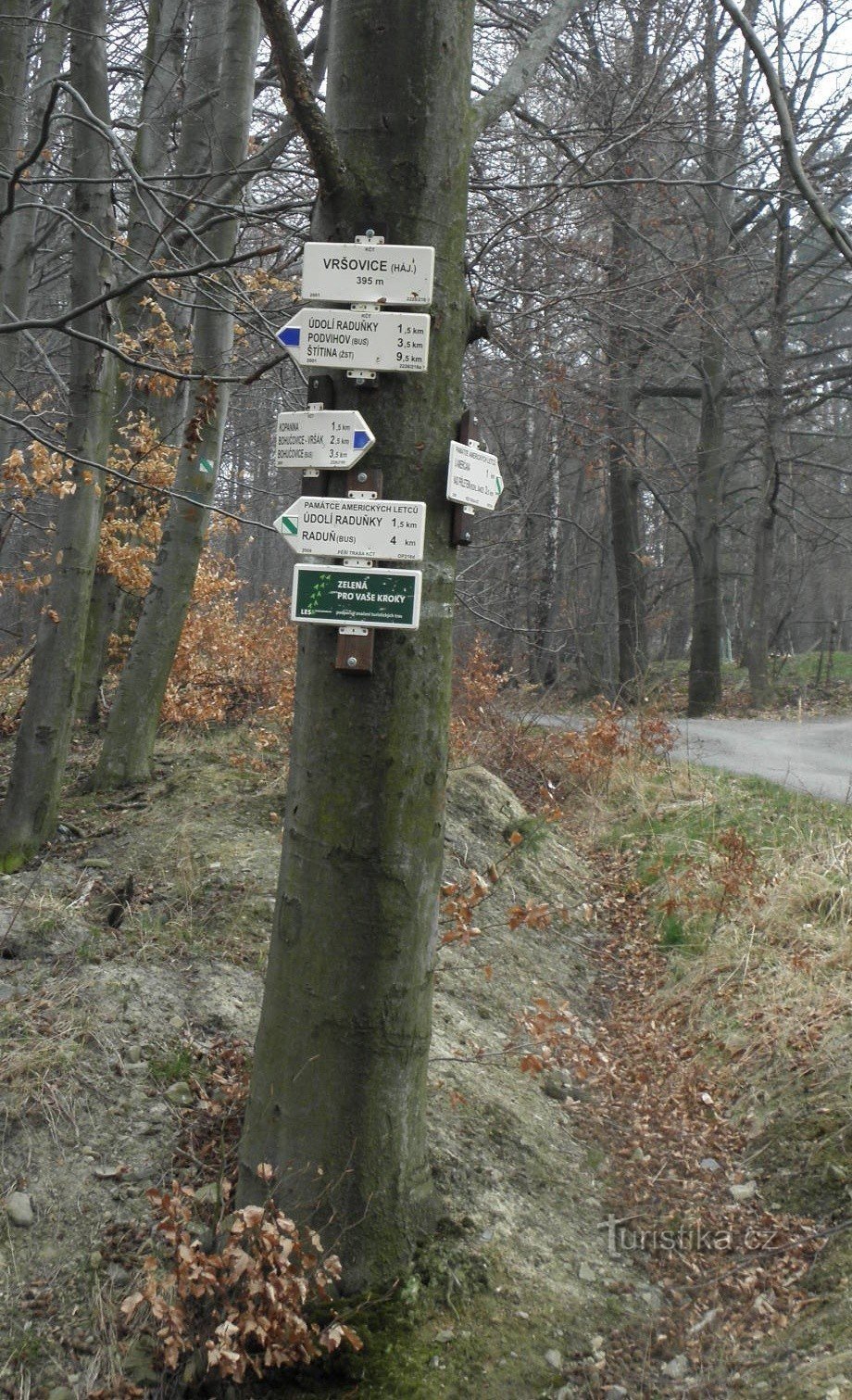 Kruispunt van het Vršovice-bos, algemeen zicht