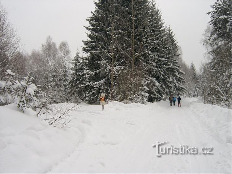 Перекресток с севера