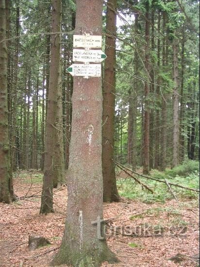 Guidepost