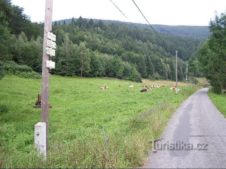 O poste de sinalização