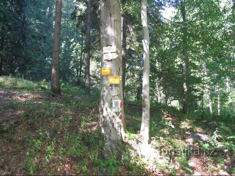 Guidepost