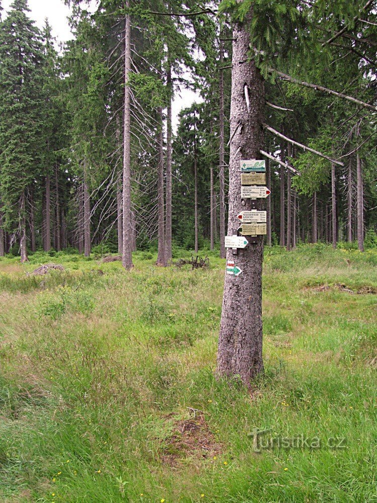 Drogowskaz Bludná - skrzyżowanie