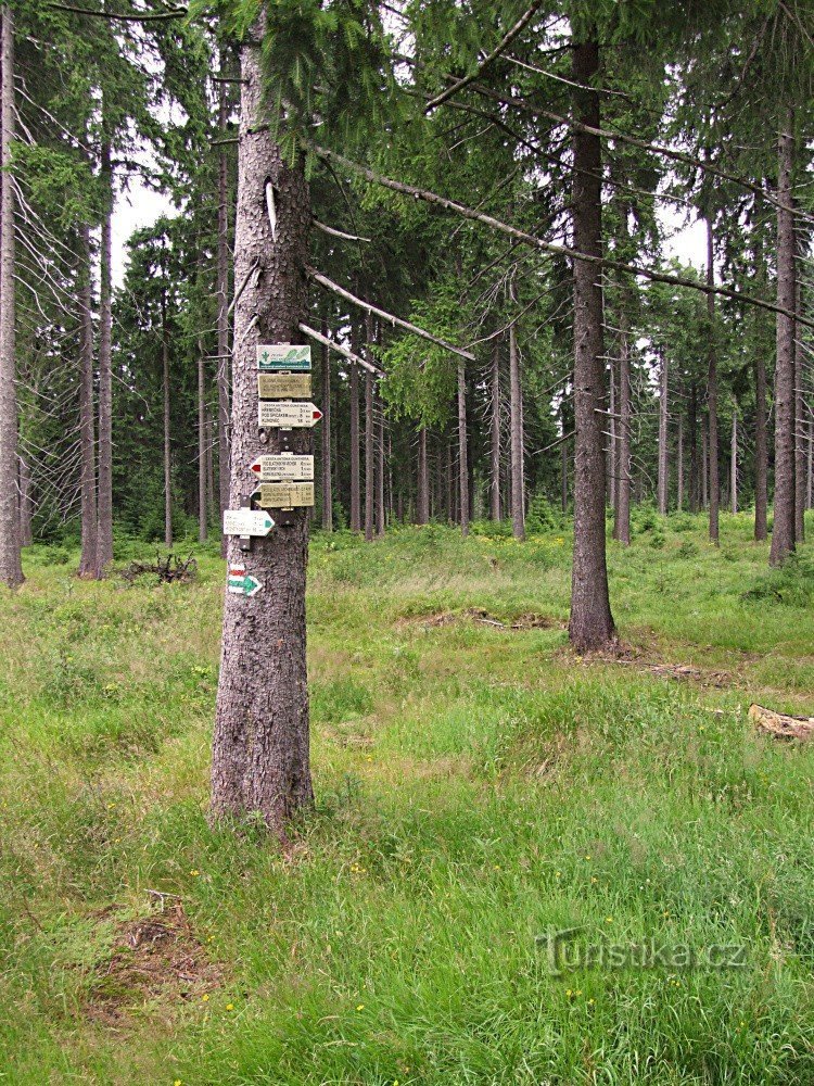 Wegwijzer Bludná - kruispunt