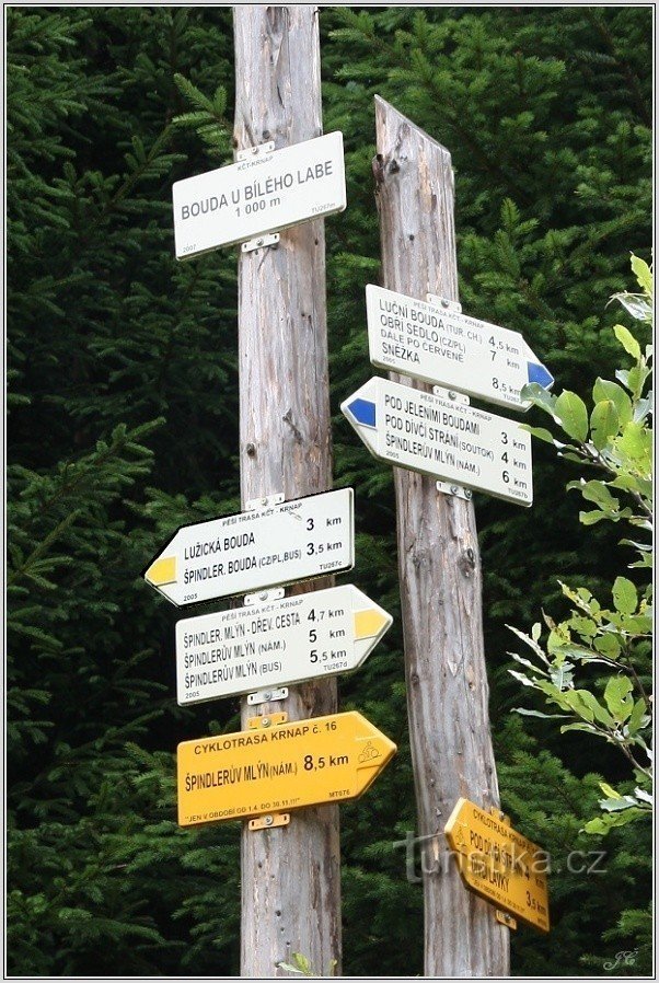 Signpost of the Buda U Bílého Labe