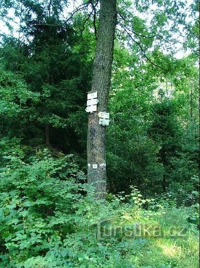 道しるべ: ロヴナ交差点の全景