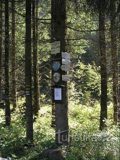 Signpost: General view of the signpost