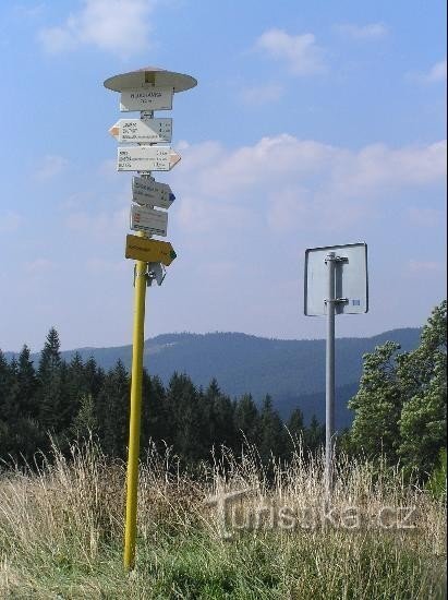 Signpost: General view of the signpost