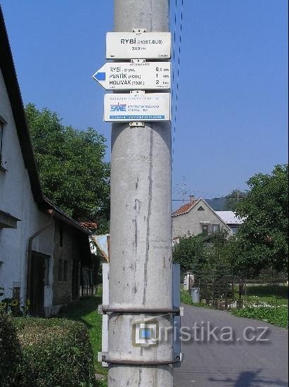 Signpost: General view of the signpost