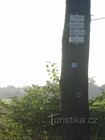 Placa de sinalização: Visão geral da placa de sinalização