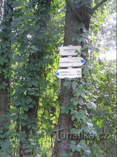 Signpost: General view of the signpost