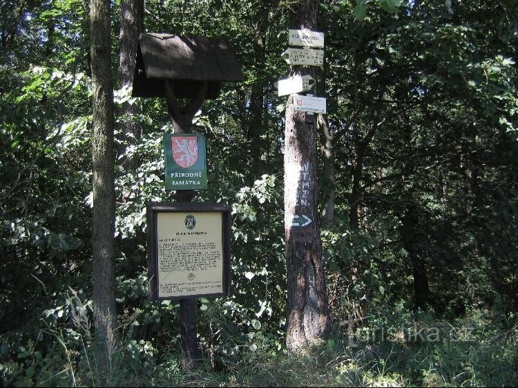 Signpost: General view of the signpost