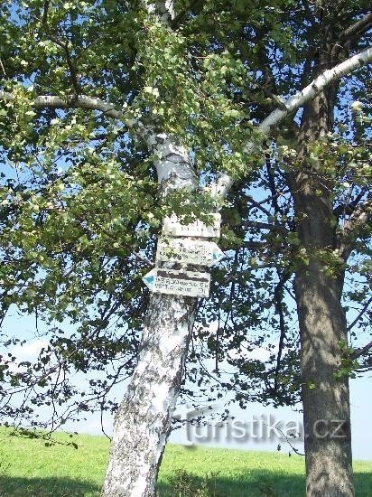 Signpost: General view of the signpost